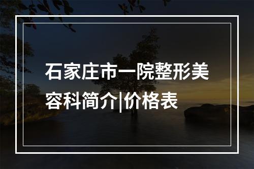 石家庄市一院整形美容科简介|价格表