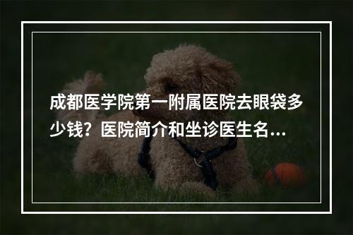 成都医学院第一附属医院去眼袋多少钱？医院简介和坐诊医生名单公布!!