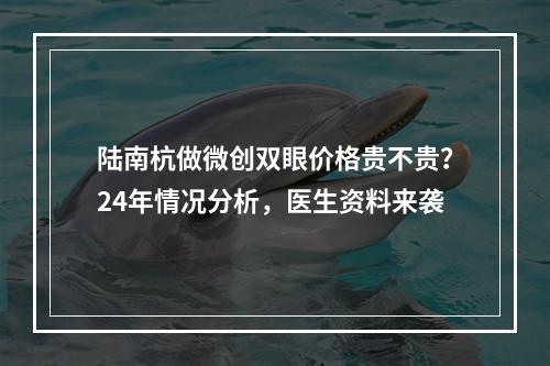 陆南杭做微创双眼价格贵不贵？24年情况分析，医生资料来袭