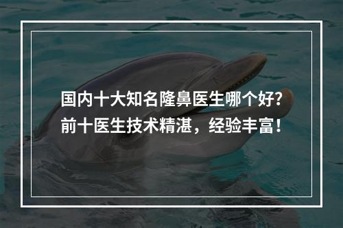 国内十大知名隆鼻医生哪个好？前十医生技术精湛，经验丰富！