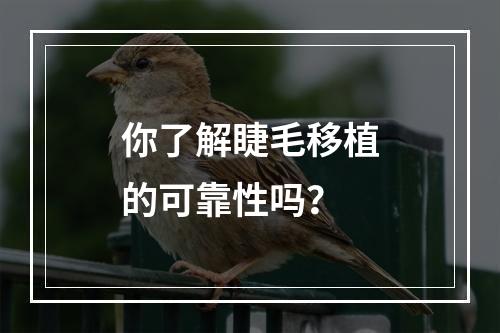 你了解睫毛移植的可靠性吗？