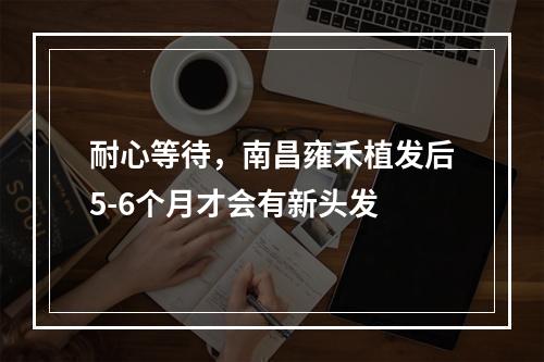 耐心等待，南昌雍禾植发后5-6个月才会有新头发