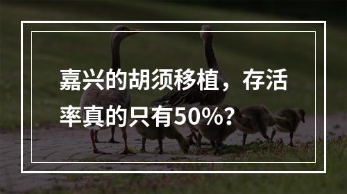 嘉兴的胡须移植，存活率真的只有50%？