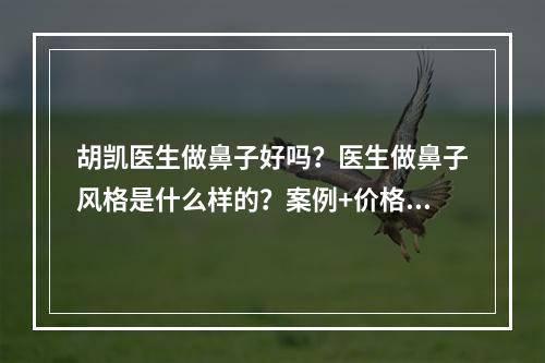 胡凯医生做鼻子好吗？医生做鼻子风格是什么样的？案例+价格分享