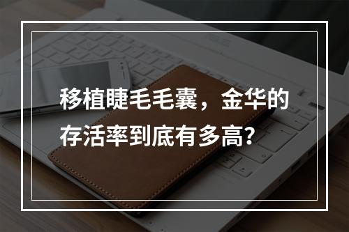 移植睫毛毛囊，金华的存活率到底有多高？