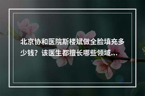 北京协和医院斯楼斌做全脸填充多少钱？该医生都擅长哪些领域？