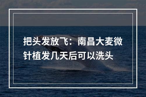 把头发放飞：南昌大麦微针植发几天后可以洗头