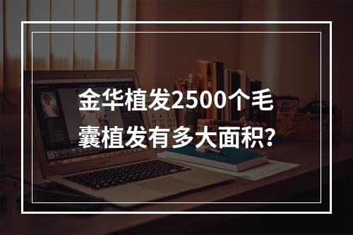 金华植发2500个毛囊植发有多大面积？