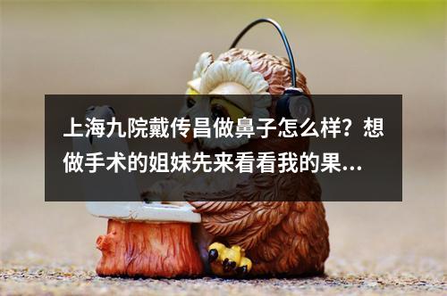 上海九院戴传昌做鼻子怎么样？想做手术的姐妹先来看看我的果吧！