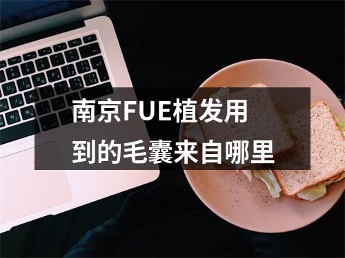 南京FUE植发用到的毛囊来自哪里