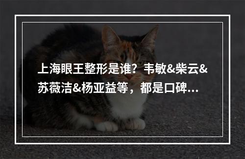 上海眼王整形是谁？韦敏&柴云&苏薇洁&杨亚益等，都是口碑极好的！