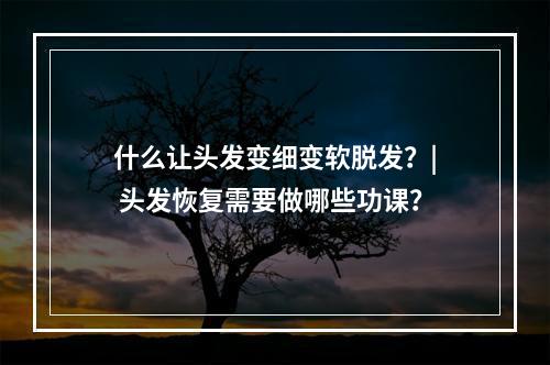 什么让头发变细变软脱发？| 头发恢复需要做哪些功课？