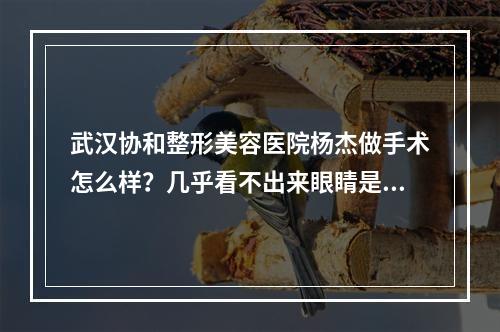 武汉协和整形美容医院杨杰做手术怎么样？几乎看不出来眼睛是做的