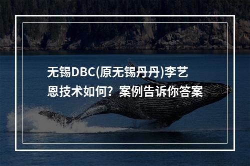 无锡DBC(原无锡丹丹)李艺恩技术如何？案例告诉你答案