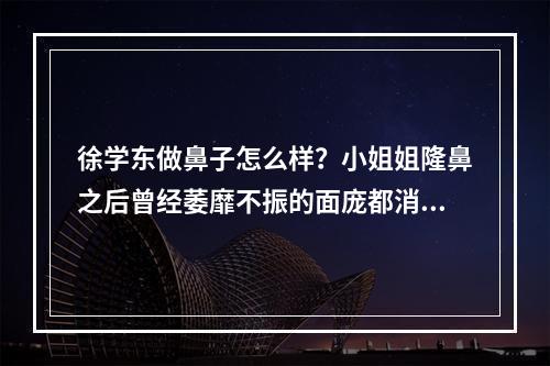 徐学东做鼻子怎么样？小姐姐隆鼻之后曾经萎靡不振的面庞都消失了~