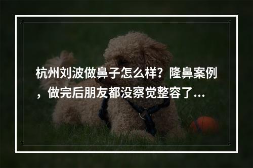 杭州刘波做鼻子怎么样？隆鼻案例，做完后朋友都没察觉整容了！