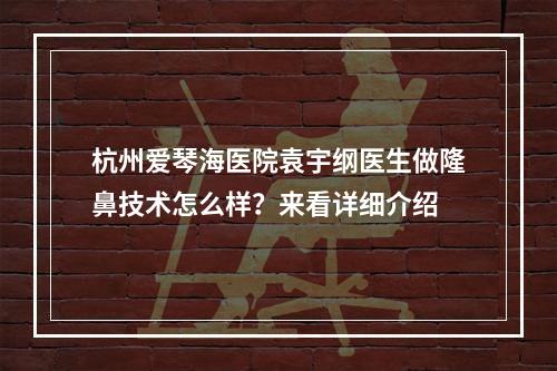 杭州爱琴海医院袁宇纲医生做隆鼻技术怎么样？来看详细介绍