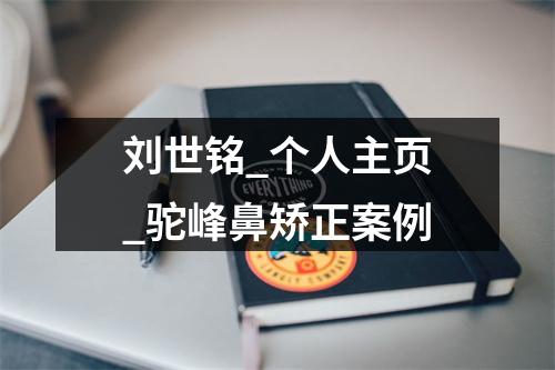 刘世铭_个人主页_驼峰鼻矫正案例