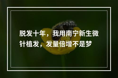 脱发十年，我用南宁新生微针植发，发量倍增不是梦