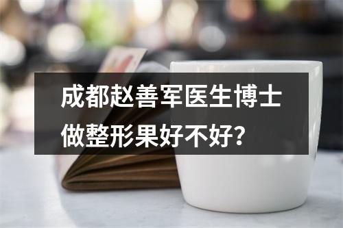 成都赵善军医生博士做整形果好不好？