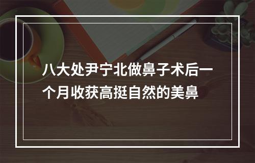 八大处尹宁北做鼻子术后一个月收获高挺自然的美鼻