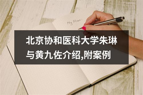 北京协和医科大学朱琳与黄九佐介绍,附案例