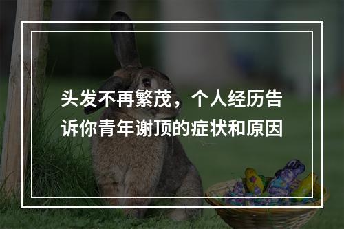 头发不再繁茂，个人经历告诉你青年谢顶的症状和原因