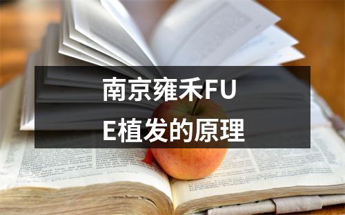 南京雍禾FUE植发的原理