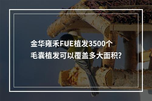 金华雍禾FUE植发3500个毛囊植发可以覆盖多大面积？