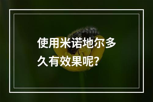 使用米诺地尔多久有效果呢？