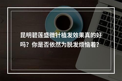 昆明碧莲盛微针植发效果真的好吗？你是否依然为脱发烦恼着？