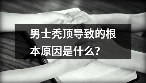 男士秃顶导致的根本原因是什么？