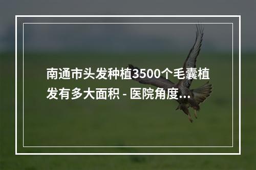 南通市头发种植3500个毛囊植发有多大面积 - 医院角度解析