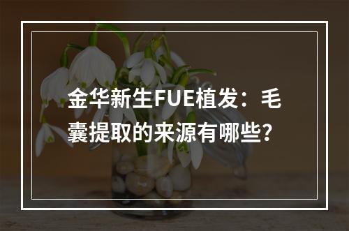 金华新生FUE植发：毛囊提取的来源有哪些？