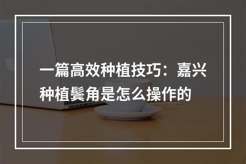 一篇高效种植技巧：嘉兴种植鬓角是怎么操作的