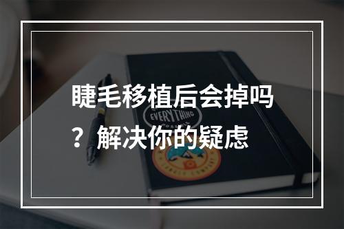 睫毛移植后会掉吗？解决你的疑虑