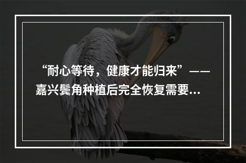 “耐心等待，健康才能归来”——嘉兴鬓角种植后完全恢复需要多久