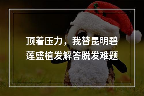 顶着压力，我替昆明碧莲盛植发解答脱发难题