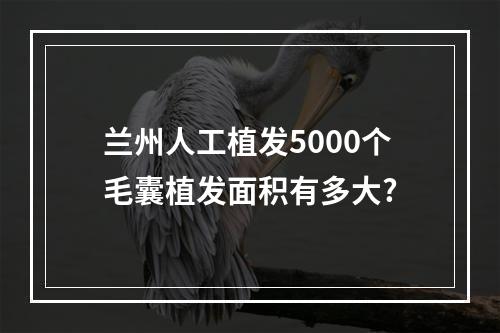 兰州人工植发5000个毛囊植发面积有多大?