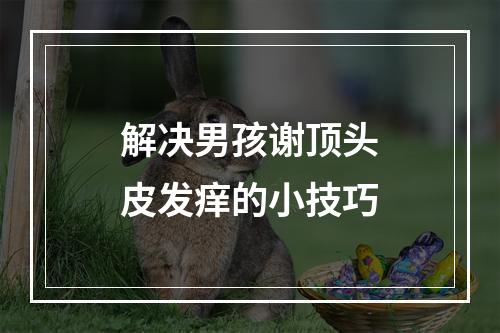 解决男孩谢顶头皮发痒的小技巧