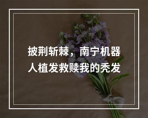 披荆斩棘，南宁机器人植发救赎我的秃发