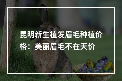 昆明新生植发眉毛种植价格：美丽眉毛不在天价