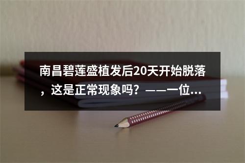 南昌碧莲盛植发后20天开始脱落，这是正常现象吗？——一位植发医生的亲身经历