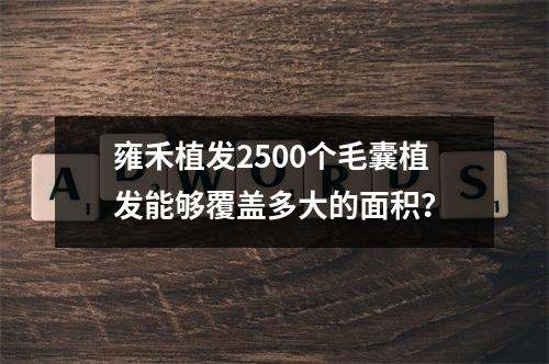 雍禾植发2500个毛囊植发能够覆盖多大的面积？