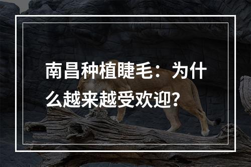 南昌种植睫毛：为什么越来越受欢迎？