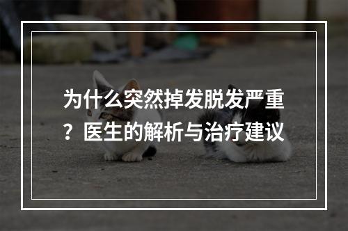 为什么突然掉发脱发严重？医生的解析与治疗建议