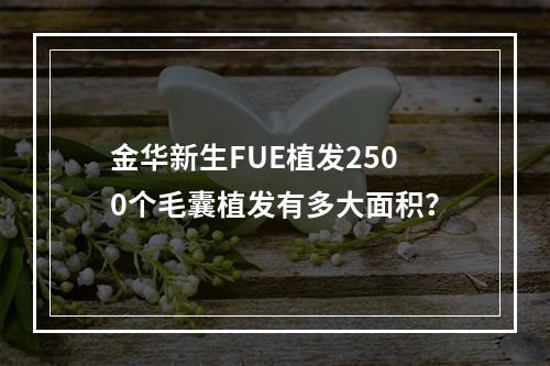 金华新生FUE植发2500个毛囊植发有多大面积？