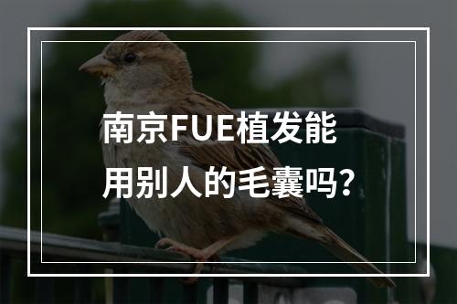 南京FUE植发能用别人的毛囊吗？