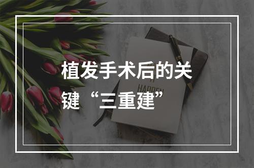 植发手术后的关键“三重建”