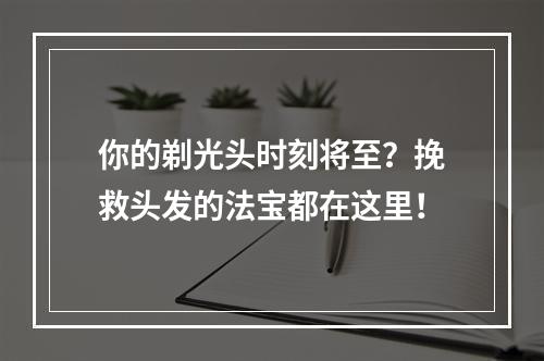 你的剃光头时刻将至？挽救头发的法宝都在这里！